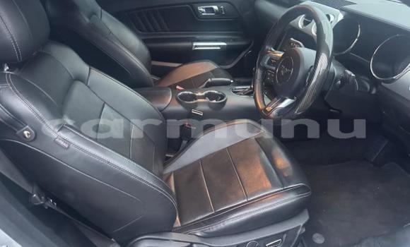 Acheter Occasion Voiture Ford Mustang Gris à Brazzaville, Commune de Brazzaville Acheter Occasion Voiture Ford Mustang Gris à Brazzaville, Commune de Brazzaville