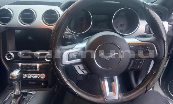 Acheter Occasion Voiture Ford Mustang Gris à Brazzaville, Commune de Brazzaville Acheter Occasion Voiture Ford Mustang Gris à Brazzaville, Commune de Brazzaville