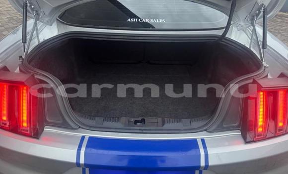 Acheter Occasion Voiture Ford Mustang Gris à Brazzaville, Commune de Brazzaville Acheter Occasion Voiture Ford Mustang Gris à Brazzaville, Commune de Brazzaville