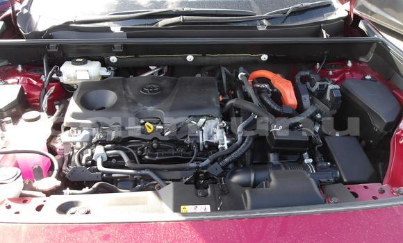 Acheter Occasion Voiture Toyota RAV4 Rouge à Brazzaville, Commune de Brazzaville Acheter Occasion Voiture Toyota RAV4 Rouge à Brazzaville, Commune de Brazzaville