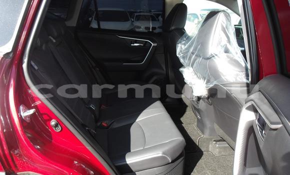 Acheter Occasion Voiture Toyota RAV4 Rouge à Brazzaville, Commune de Brazzaville Acheter Occasion Voiture Toyota RAV4 Rouge à Brazzaville, Commune de Brazzaville