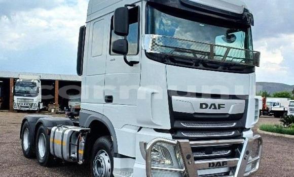 Buy Used DAF CF White Truck in Brazzaville in Municipality of Brazzaville Buy Used DAF CF White Truck in Brazzaville in Municipality of Brazzaville