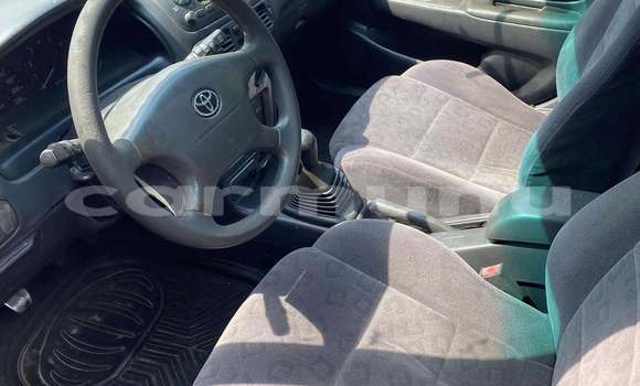 Buy Used Toyota Corolla Red Car in Brazzaville in Municipality of Brazzaville Buy Used Toyota Corolla Red Car in Brazzaville in Municipality of Brazzaville