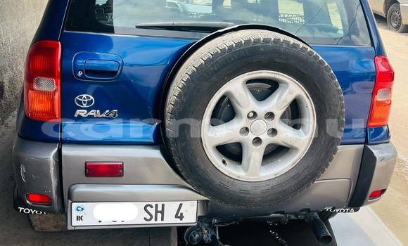 Buy Used Toyota RAV4 Blue Car in Brazzaville in Municipality of Brazzaville Buy Used Toyota RAV4 Blue Car in Brazzaville in Municipality of Brazzaville