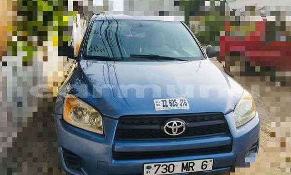 Buy Used Toyota RAV4 Blue Car in Brazzaville in Municipality of Brazzaville Buy Used Toyota RAV4 Blue Car in Brazzaville in Municipality of Brazzaville