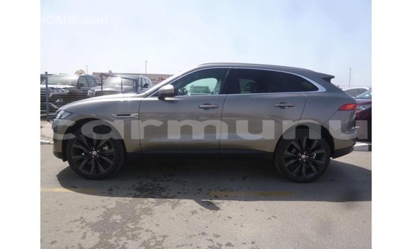 Acheter Import Voiture Jaguar F-Pace Autre à Import - Dubai, Région de la Bouenza Acheter Import Voiture Jaguar F-Pace Autre à Import - Dubai, Région de la Bouenza