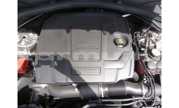 Acheter Import Voiture Jaguar F-Pace Autre à Import - Dubai, Région de la Bouenza Acheter Import Voiture Jaguar F-Pace Autre à Import - Dubai, Région de la Bouenza