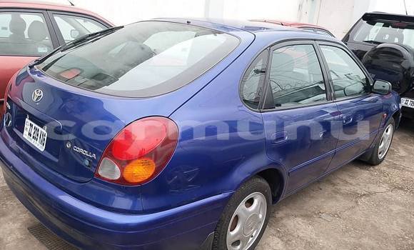 Buy Used Toyota Corolla Blue Car in Brazzaville in Municipality of Brazzaville Buy Used Toyota Corolla Blue Car in Brazzaville in Municipality of Brazzaville