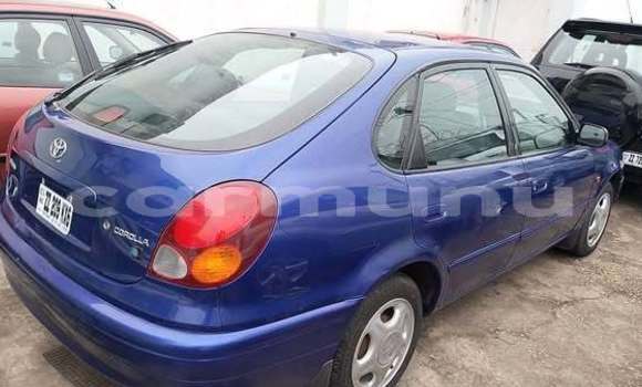 Buy Used Toyota Corolla Blue Car in Brazzaville in Municipality of Brazzaville Buy Used Toyota Corolla Blue Car in Brazzaville in Municipality of Brazzaville