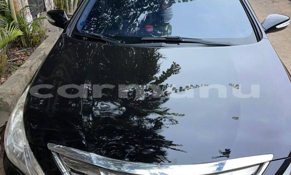 Buy Used Hyundai Sonata Black Car in Brazzaville in Municipality of Brazzaville Buy Used Hyundai Sonata Black Car in Brazzaville in Municipality of Brazzaville
