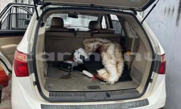 Acheter Occasion Voiture Hyundai Veracruz Blanc à Pointe–Noire, Région du Kouilou Acheter Occasion Voiture Hyundai Veracruz Blanc à Pointe–Noire, Région du Kouilou