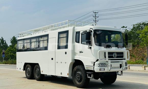 Buy Used Toyota DA White Truck in Brazzaville in Municipality of Brazzaville Buy Used Toyota DA White Truck in Brazzaville in Municipality of Brazzaville