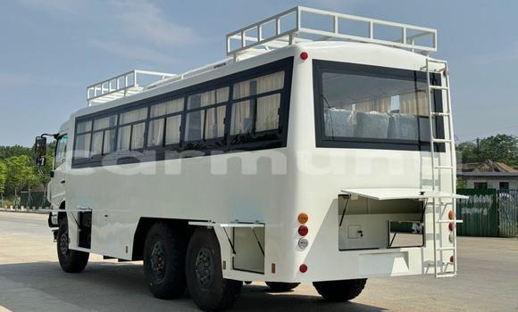 Buy Used Toyota DA White Truck in Brazzaville in Municipality of Brazzaville Buy Used Toyota DA White Truck in Brazzaville in Municipality of Brazzaville