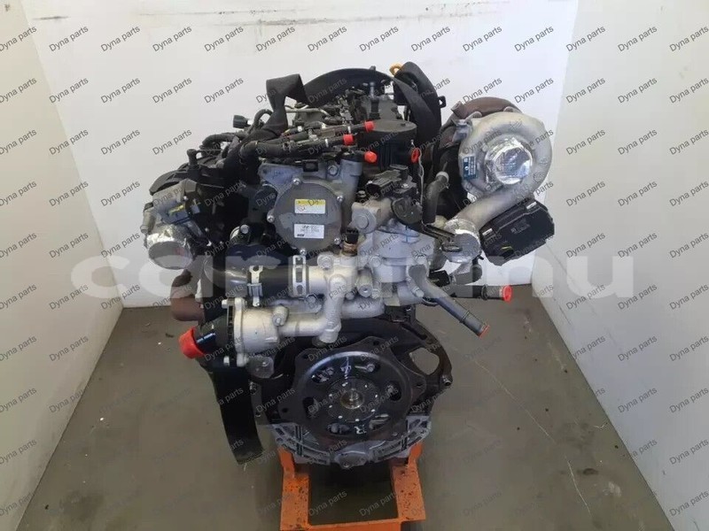 Big with watermark 6