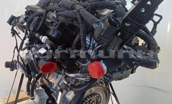 Medium with watermark s l16002