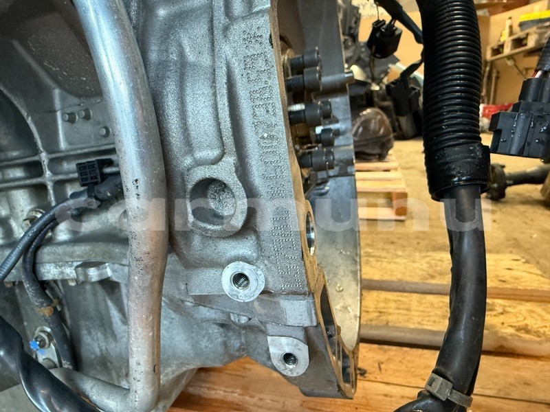 Big with watermark 6