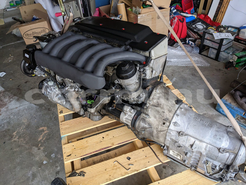 Big with watermark d