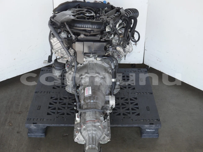 Big with watermark image h