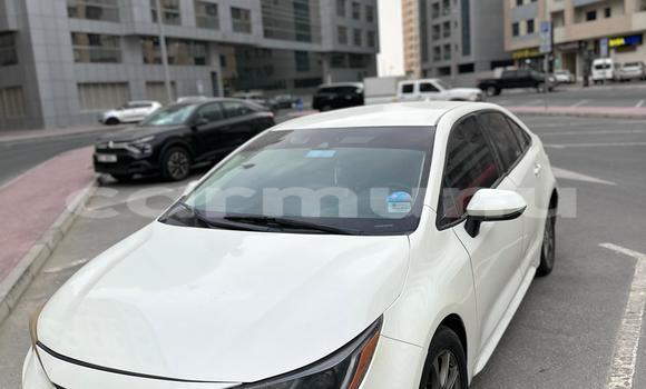 Acheter Occasion Voiture Toyota Corolla Blanc à Import - Dubai, Région de la Bouenza