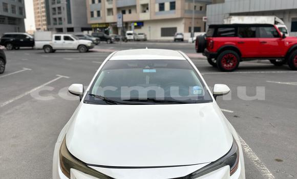 Acheter Occasion Voiture Toyota Corolla Blanc à Import - Dubai, Région de la Bouenza Acheter Occasion Voiture Toyota Corolla Blanc à Import - Dubai, Région de la Bouenza