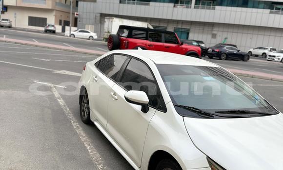 Acheter Occasion Voiture Toyota Corolla Blanc à Import - Dubai, Région de la Bouenza Acheter Occasion Voiture Toyota Corolla Blanc à Import - Dubai, Région de la Bouenza
