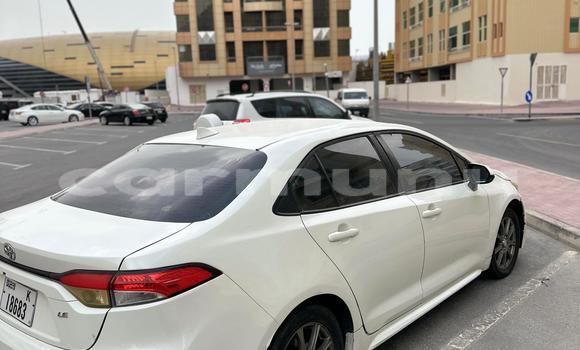 Acheter Occasion Voiture Toyota Corolla Blanc à Import - Dubai, Région de la Bouenza Acheter Occasion Voiture Toyota Corolla Blanc à Import - Dubai, Région de la Bouenza