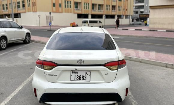Acheter Occasion Voiture Toyota Corolla Blanc à Import - Dubai, Région de la Bouenza Acheter Occasion Voiture Toyota Corolla Blanc à Import - Dubai, Région de la Bouenza
