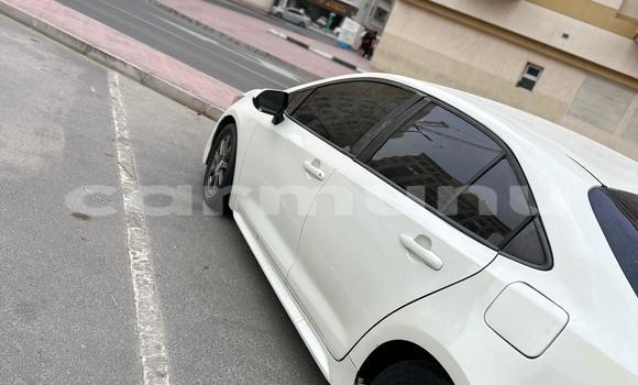 Acheter Occasion Voiture Toyota Corolla Blanc à Import - Dubai, Région de la Bouenza Acheter Occasion Voiture Toyota Corolla Blanc à Import - Dubai, Région de la Bouenza