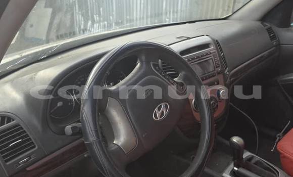 Acheter Occasion Voiture Hyundai Kona Blanc à Brazzaville, Commune de Brazzaville Acheter Occasion Voiture Hyundai Kona Blanc à Brazzaville, Commune de Brazzaville