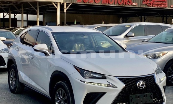 Acheter Occasion Voiture Lexus NX Gris à Pointe–Noire, Région du Kouilou