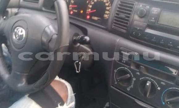 Buy Used Toyota Allex Green Car in Brazzaville in Municipality of Brazzaville Buy Used Toyota Allex Green Car in Brazzaville in Municipality of Brazzaville