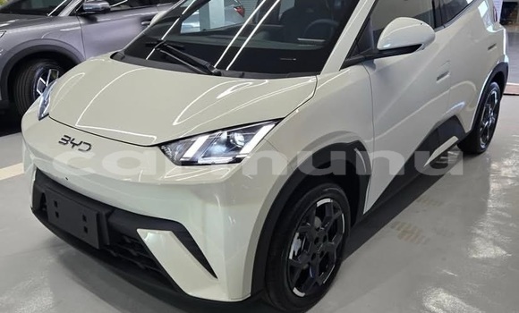 Buy Used BYD Seagull White Car in Brazzaville in Municipality of Brazzaville Buy Used BYD Seagull White Car in Brazzaville in Municipality of Brazzaville