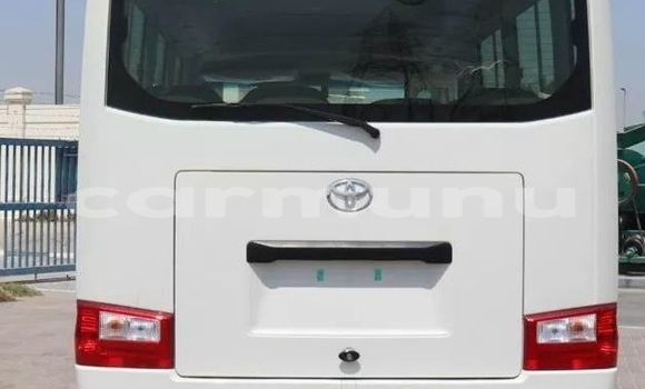 Buy Used Toyota Coaster White Car in Brazzaville in Municipality of Brazzaville Buy Used Toyota Coaster White Car in Brazzaville in Municipality of Brazzaville