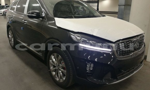 Acheter Import Voiture Kia Sorento Marron à Import - Dubai, Région de la Bouenza