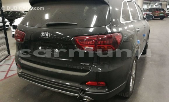 Acheter Import Voiture Kia Sorento Marron à Import - Dubai, Région de la Bouenza Acheter Import Voiture Kia Sorento Marron à Import - Dubai, Région de la Bouenza