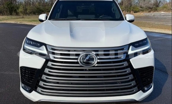 Acheter Occasion Voiture Lexus LX Blanc à Gamboma, Plateaux