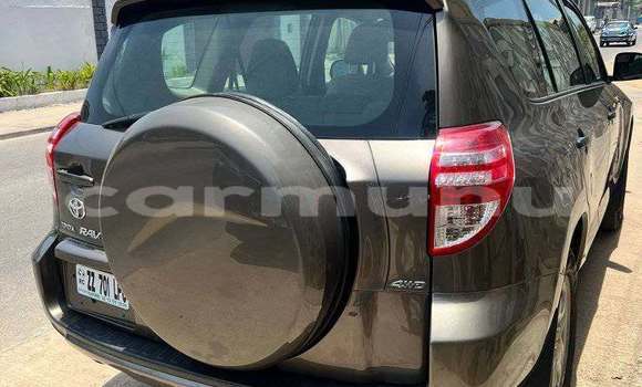 Acheter Occasion Voiture Toyota RAV4 Autre à Brazzaville, Commune de Brazzaville