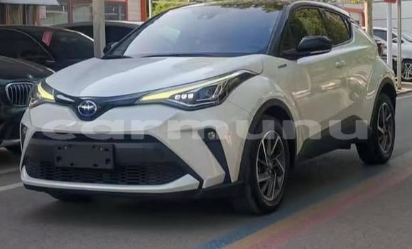Acheter Occasion Voiture Toyota C-HR Blanc à Brazzaville, Commune de Brazzaville