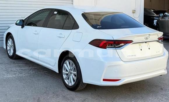 Buy Used Toyota Corolla White Car in Brazzaville in Municipality of Brazzaville Buy Used Toyota Corolla White Car in Brazzaville in Municipality of Brazzaville