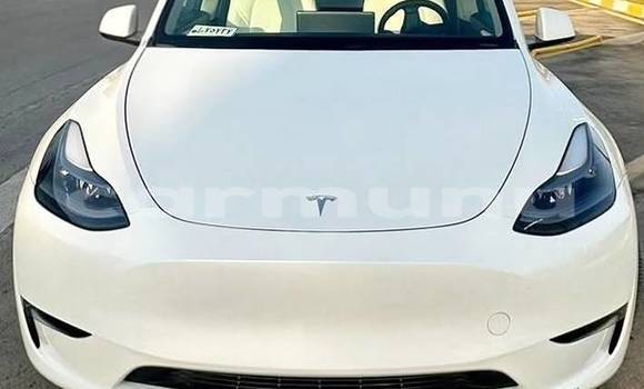 Acheter Occasion Voiture Tesla Model X Blanc à Brazzaville, Commune de Brazzaville
