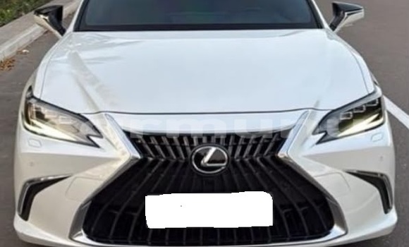 Buy Used Lexus ES White Car in Brazzaville in Municipality of Brazzaville Buy Used Lexus ES White Car in Brazzaville in Municipality of Brazzaville