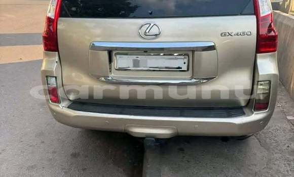 Acheter Occasion Voiture Lexus GX Gris à Brazzaville, Commune de Brazzaville Acheter Occasion Voiture Lexus GX Gris à Brazzaville, Commune de Brazzaville