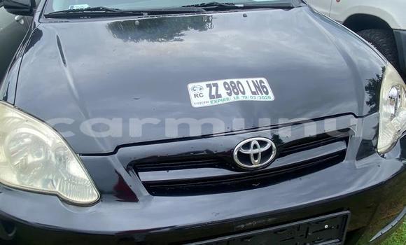 Acheter Occasion Voiture Toyota Corolla Noir à Pointe–Noire, Région du Kouilou