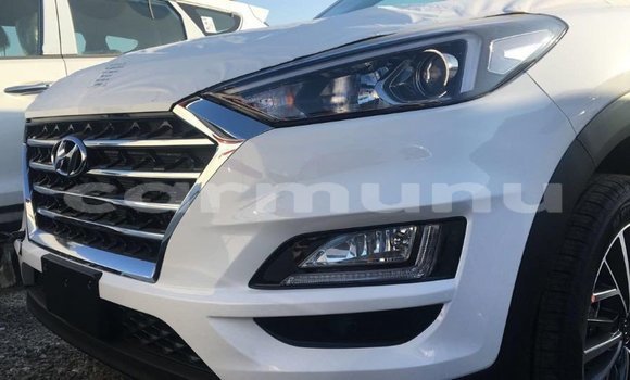 Acheter Import Voiture Hyundai Tucson Blanc à Import - Dubai, Région de la Bouenza Acheter Import Voiture Hyundai Tucson Blanc à Import - Dubai, Région de la Bouenza