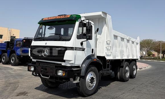Acheter Import Utilitaire Mercedes‒Benz 2538 Autre à Import - Dubai, Région de la Bouenza Acheter Import Utilitaire Mercedes‒Benz 2538 Autre à Import - Dubai, Région de la Bouenza