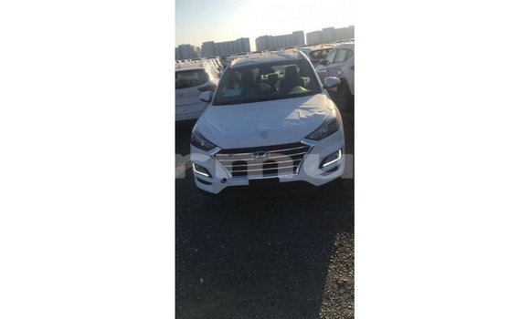Acheter Import Voiture Hyundai Tucson Blanc à Import - Dubai, Région de la Bouenza Acheter Import Voiture Hyundai Tucson Blanc à Import - Dubai, Région de la Bouenza