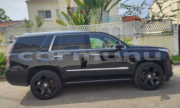 Buy Used Cadillac Escalade Black Car in Black Point in Kouilou region