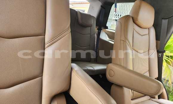 Acheter Occasion Voiture Cadillac Escalade Noir à Pointe–Noire, Région du Kouilou Acheter Occasion Voiture Cadillac Escalade Noir à Pointe–Noire, Région du Kouilou