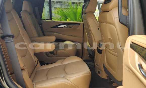 Acheter Occasion Voiture Cadillac Escalade Noir à Pointe–Noire, Région du Kouilou Acheter Occasion Voiture Cadillac Escalade Noir à Pointe–Noire, Région du Kouilou