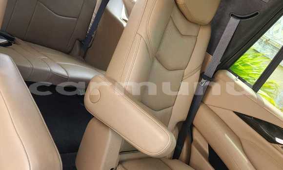 Acheter Occasion Voiture Cadillac Escalade Noir à Pointe–Noire, Région du Kouilou Acheter Occasion Voiture Cadillac Escalade Noir à Pointe–Noire, Région du Kouilou